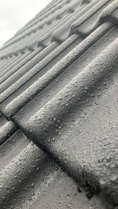 Ziegel nach Beschichtung Lotus-Effekt